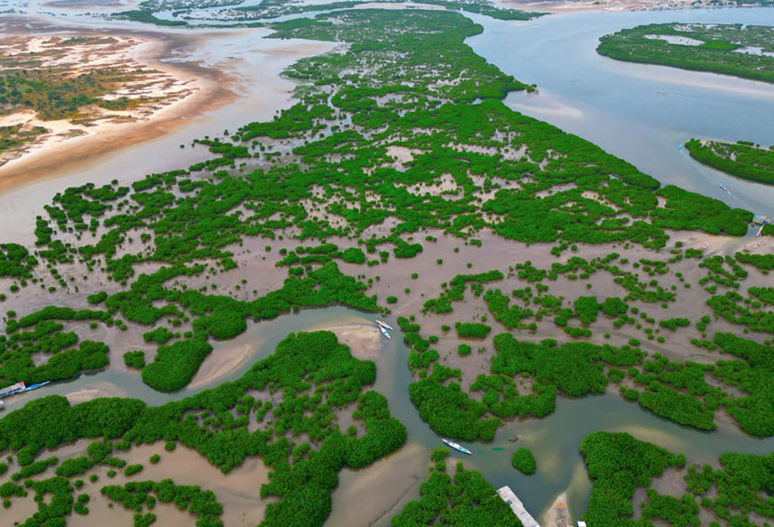 Saloum Delta National Park, Senegal